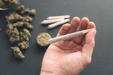 Ot, esrar, ot, öğütücü taze marihuana, siyah masada esrar tomurcukları.,