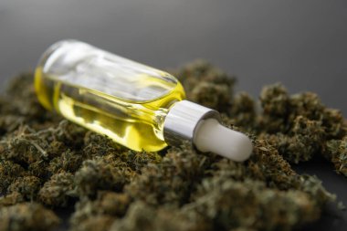 Pipette kenevir yağı, makro, esrar marihuana konsepti, CBD medikal yağ,