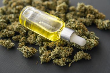CBD Tıbbi OIL, makro, pipette kenevir yağı, marihuana esrar konsepti,