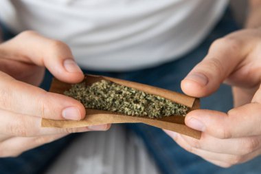 Man 'in beyaz arka planda esrar sardığı yakın plan. Marihuana hazırlayan ve yuvarlayan bir adam. marijuana GRINDER esrar kullanımı kavramı.