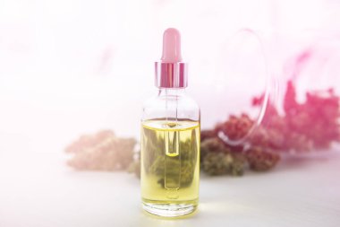 Tıbbi marihuana konsepti, doğal bitki, CBD kenevir yağı, pipette kenevir yağı, kapatın, ışık renk tonlarından sızar