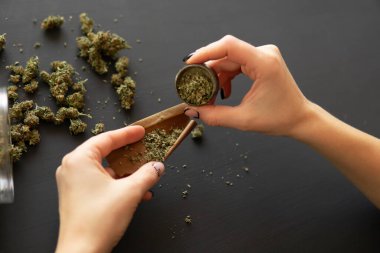 Esrar hazırlayan ve saran bir kadın. Marihuanayı öğütücüyle kapat. Marihuana kullanımı kavramı. Esrar saran bir kadın.