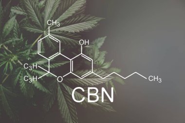 CBN formülü, cannabinoid. Kenevir endüstrisi, tıbbi marihuana, büyüyen marihuana, zorbalık. Esrar, kanabinoit ve sağlıkta CBD ve THC elementleri,