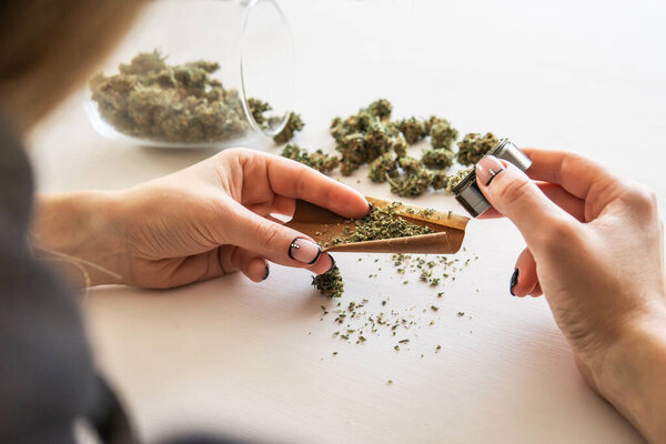 Woman preparing and rolling marijuana cannabis joint. Close up of marijuana blunt with grinder. Woman rolling a marijuana blunt on white background. Cannabis use concept.