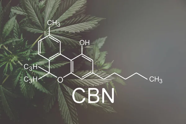 CBN formülü, cannabinoid. Kenevir endüstrisi, tıbbi marihuana, büyüyen marihuana, zorbalık. Esrar, kanabinoit ve sağlıkta CBD ve THC elementleri,