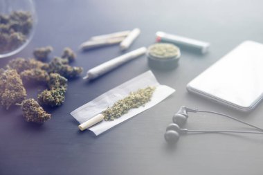 Siyah masada marihuana tomurcukları, yakın çekim, taze kenevirle öğütücü, esrarlı esrar, ışık renk akıntısı