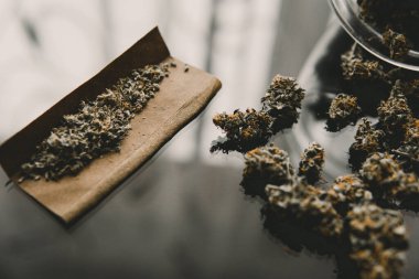 Kopyalama alanı için esrarın arka planda el ele tutuşması. Kenevir tomurcukları için CBD ve THC. Kapatın. Bitki öğütücü Taze marihuana. Künt ve Çakmaklar.