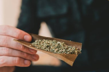 Marihuana kullanan bir adam. Kapatın. Esrar hazırlayan ve yuvarlayan adam Blunt. Uyuşturucu narkotik konsepti. Marihuanayı çakmakla yakmaya başla..