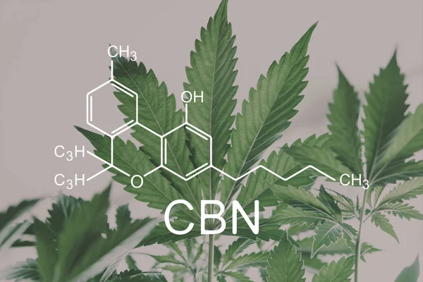 Cbn Formel Cannabinoid Avfallshantering Cannabinoider Och Hälsa Medicinsk Marijuana Hampindustri — Stockfoto
