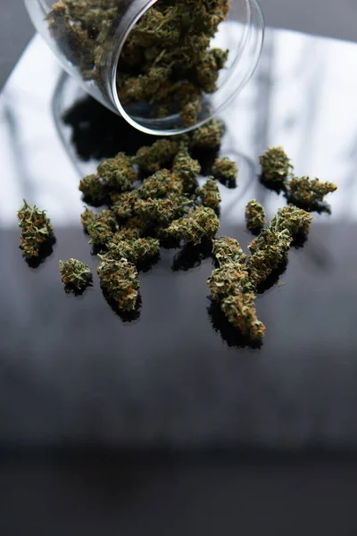 Herb Grinder Marihuana Segar Cannabis Tunas Tangan Latar Belakang Hitam — Stok Foto