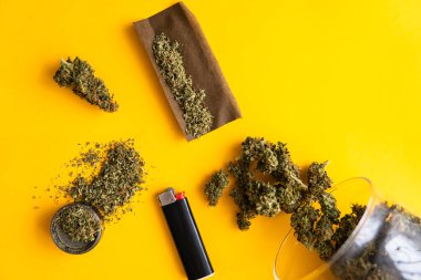 Kopyalama alanı için sarı arka planda esrar tomurcukları. Üst Manzara. Kenevir tomurcukları için CBD ve THC. Kenevirin yasallaştırılması. Taze marihuana. Künt ve Çakmaklar.