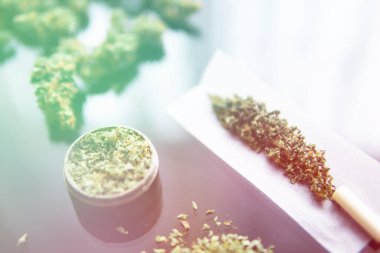 Blunt ve Lighters. Kapatın. Kopyalama alanı için esrarın arka planda el ele tutuşması. Kenevir tomurcukları için CBD ve THC. Bitki öğütücü Taze marihuana.