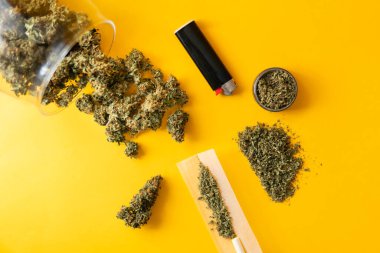 Uzayı kopyala Blunt ve Lighters. Kenevir tomurcukları için CBD ve THC. Kenevirin yasallaştırılması. Bitki öğütücü Taze marihuana. Kapatın. Sarı arka planda el ele esrar tomurcukları