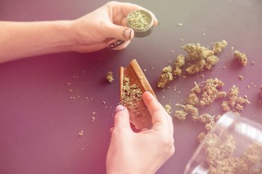 Esrar kullanımı konsepti. Marihuanayı öğütücüyle kapat. Esrar hazırlayan ve saran bir kadın. Marihuana saran bir kadın. Renk tonu