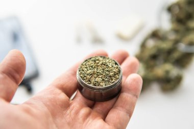 Elinde marihuana otuyla öğütücü, beyaz masa arkasında esrar tomurcukları, kapat,