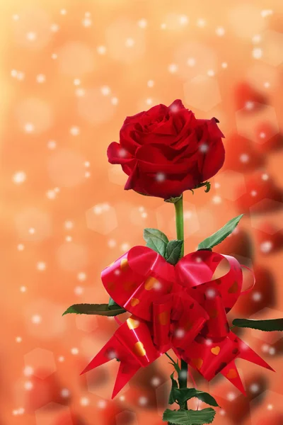 Rote Rose mit Herzen — Stockfoto