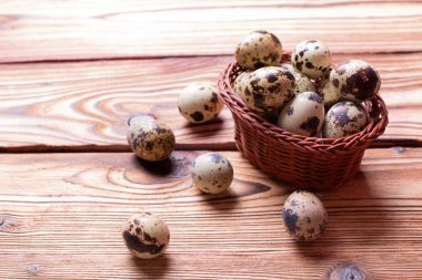 Bıldırcın yumurta