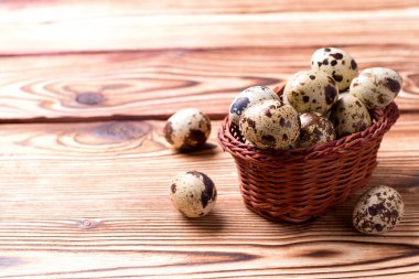 Bıldırcın yumurta