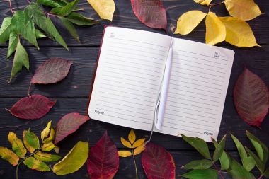 Sonbahar yaprakları koyu ahşap arka plan üzerinde. Kalem ile günlük sayfası.
