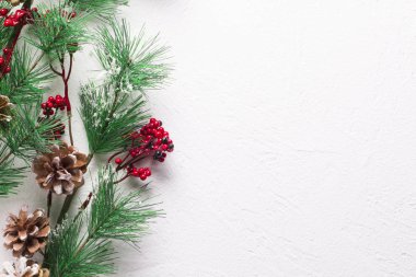 Köknar ile Noel arka plan