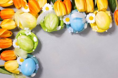 Gri arka plan üzerine lale ile yuvadaki yumurta