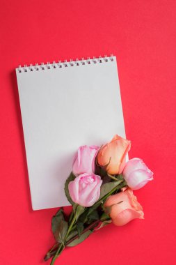 Çiçekler kırmızı arka planda çiçek açar. Gül yaprakları. Üst Manzara. Düz yatıyordu.