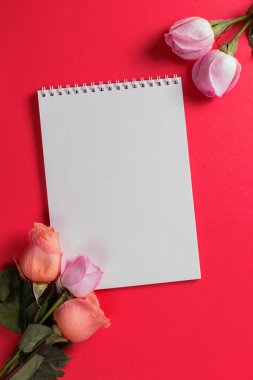 Çiçekler kırmızı arka planda çiçek açar. Gül yaprakları. Üst Manzara. Düz yatıyordu.