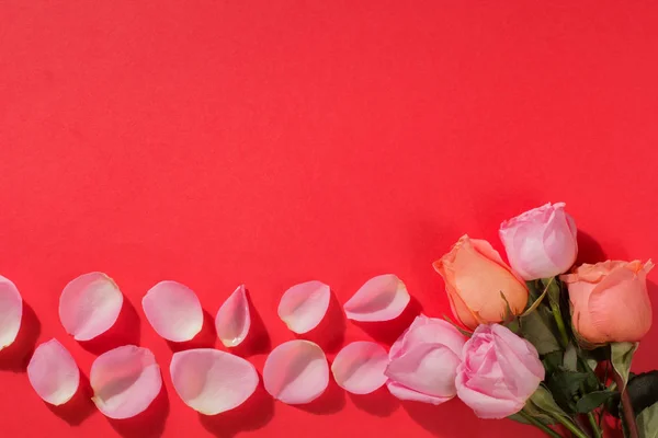 Las flores florecen sobre un fondo rojo. Pétalos de rosa. Vista superior. Puesta plana . —  Fotos de Stock