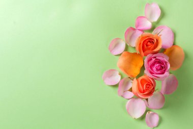 Çiçekler yeşil arka planda çiçek açar. Gül yapraklı kart. Üst Manzara. Düz yatıyordu.