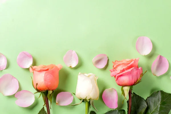 Las flores florecen sobre un fondo verde. Tarjeta con pétalos de rosa. Vista superior. Puesta plana . —  Fotos de Stock