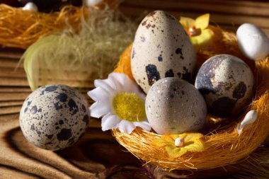 Tüylü Paskalya yumurtaları. Siyah arka planda. Sabah ışığı.