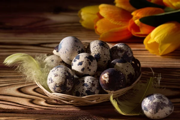 Velikonoční vajíčka v koši s peřím. Na černém pozadí. Ranní světlo. — Stock fotografie