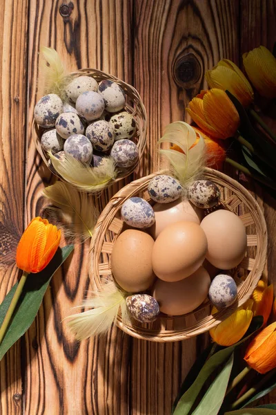 Velikonoční vajíčka v košíku s peřím a tulipány. Na dřevěném pozadí. Ranní světlo. Rustikální styl. Horní pohled. — Stock fotografie