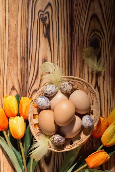 Velikonoční vajíčka v košíku s peřím a tulipány. Na dřevěném pozadí. Ranní světlo. Rustikální styl. Horní pohled. — Stock fotografie