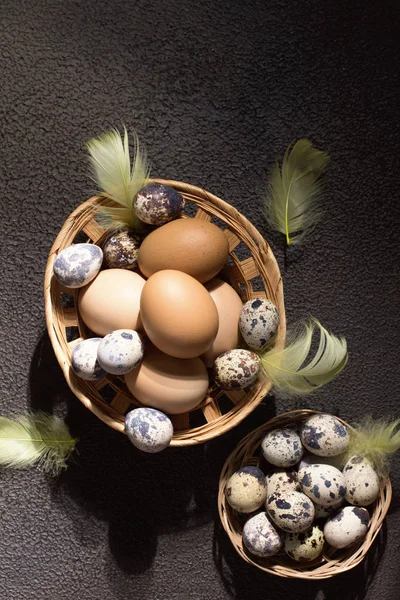 Velikonoční vajíčka v košíku s peřím a tulipány. Na betonovém šedém pozadí. Ranní světlo. Rustikální styl. Horní pohled. — Stock fotografie