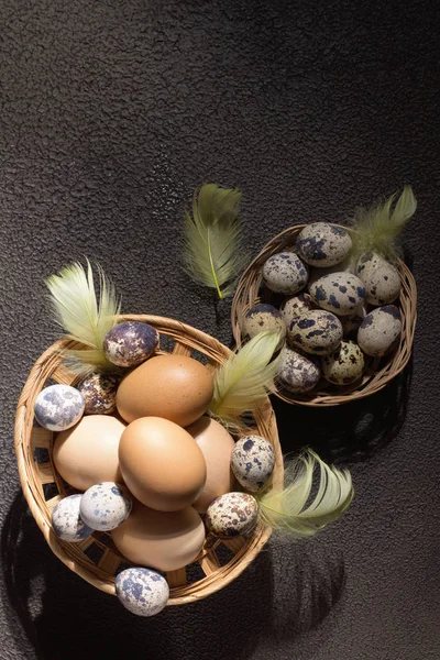 Velikonoční vajíčka v košíku s peřím a tulipány. Na betonovém šedém pozadí. Ranní světlo. Rustikální styl. Horní pohled. — Stock fotografie