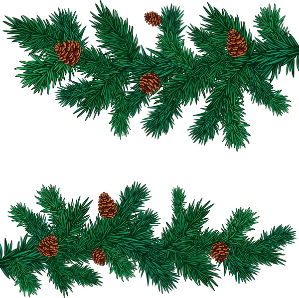 Some green spruce branches with cones — ストックベクタ