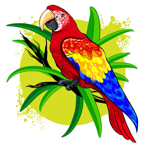векторный рисунок большого яркого цветного попугая на фоне зеленых листьев
