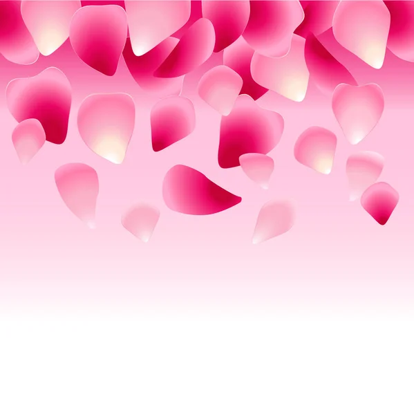 バラの花びらで飾られたピンクの花の背景 — ストックベクタ