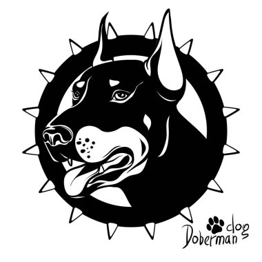 Bir köpek baş hizmet cins Doberman çizim, köpek mücadele grafik vektör