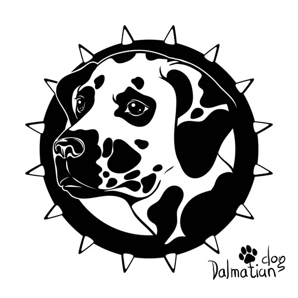 Dibujo gráfico vectorial de una cabeza de perro, raza dálmata — Vector de stock