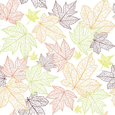 sorunsuz geçmiş sonbahar yaprakları.