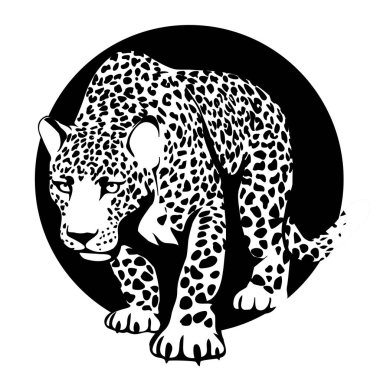 siyah ve beyaz siluet siyah bir daire içinde bir leopar