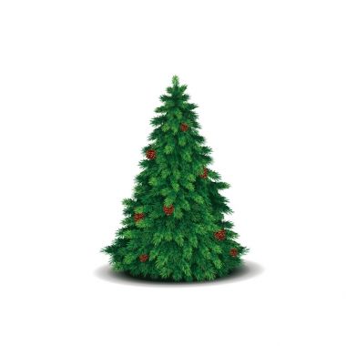 Yemyeşil yeşil dallar ve koniler ile Noel ağacı