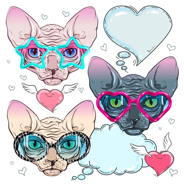 Färgglada ikoner, katt i trendiga glasögon och en katt med solglasögon — Stock vektor