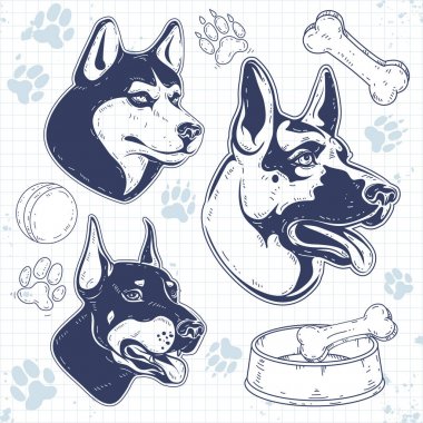 ayarla bekçi köpek ırkları, köpek baş siluet, çoban, husky, Doberman