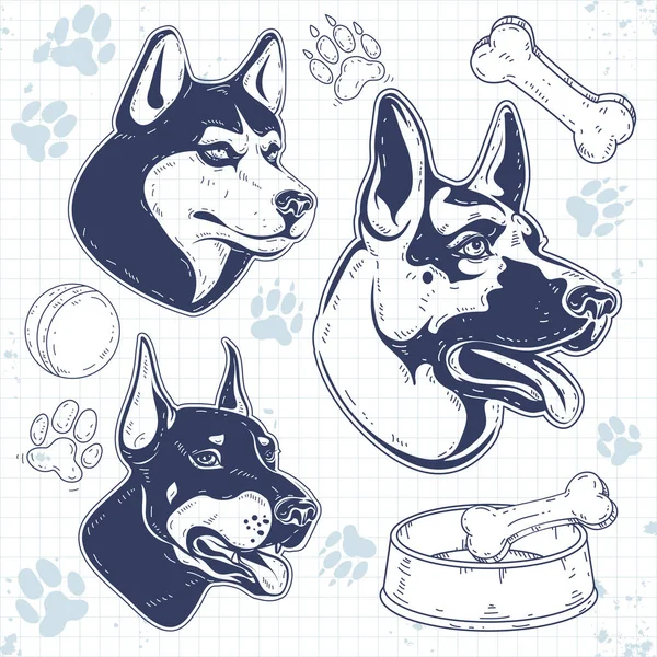 Conjunto de razas de perros guardianes, cabeza de perro silueta, pastor, husky, Doberman — Vector de stock