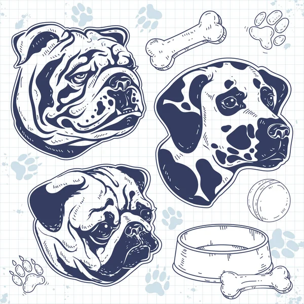 Set decorativo raza perro pintado, cabeza de perro silueta, bulldog, pug, dálmata — Vector de stock