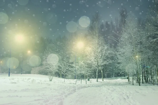 Χειμερινό τοπίο με παγωμένο φυλλοβόλο δέντρο μέσα στη νύχτα. — Φωτογραφία Αρχείου