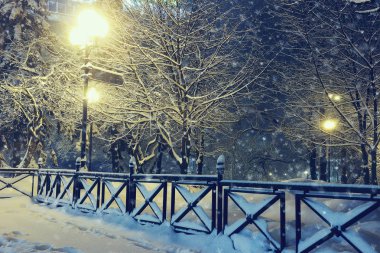 Kış Park'ta gece manzarası.